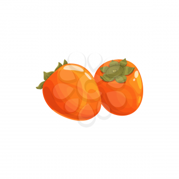 Persimmon kaki fruit, tropical exotic food, vector isolated icon. Persimmon kaki fruits, tropic farm garden exotic fruits harvest and fruity sweet dessert