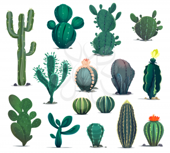 Mexican desert cactuses. Cartoon prickly succulent plants. Mexico desert flora, exotic cacti or flowering barrel, senita and saguaro cactuses. Western game environment succulent plants vector asset