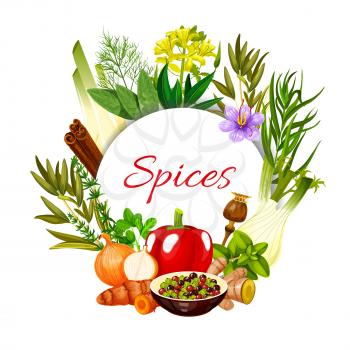 Spices seasonings and food cooking flavorings, vector herbal condiments. Farm grown herbal seasonings cinnamon, ginger and garlic, paprika pepper, rosemary and culinary cinnamon, poppy seeds and basil