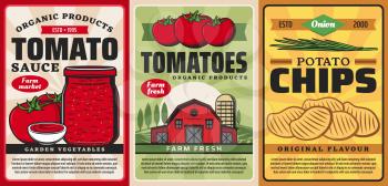 Tomato sauce ketchup and potato chips, farm food products vector retro vintage posters. Organic farming agriculture, garden vegetables and bio products from tomatoes and potatoes
