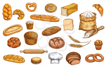 Bread, bakery sketch and pastry, baked food vector icons. Bakery bread baguette, croissant and wheat grain patisserie, rye loaf, bagel and pita, toast bun, cake or cupcake and ciabatta bread in sketch