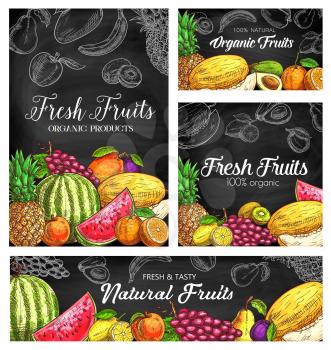 Fresh fruits vector sketch posters, natural pineapple, watermelon, apricot or grapes with plum. Organic pear, mango, orange and melon with kiwi, avocado. Hand drawn eco farm product natural assortment