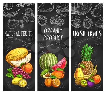 Fresh fruits vector sketch banners, natural pineapple, lemon, apricot or grapes with melon. Tropical kiwi, banana and watermelon with avocado. Hand drawn eco farm organic products exotic assortment