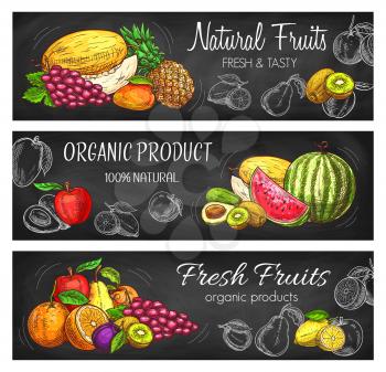 Natural fruits vector sketch pineapple, lemon, apple and grapes with melon. Tropical mango, avocado and watermelon. Hand drawn eco farm assortment pears and apricot with plums and oranges banners set