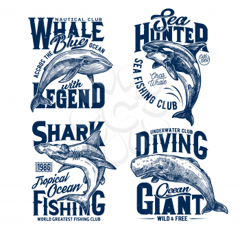 Tshirt prints with hummer head shark, killer and blue whales, vector mascots for fishing, diving or marine club. Sea predator animals, ocean adventure team prints with typography on white background