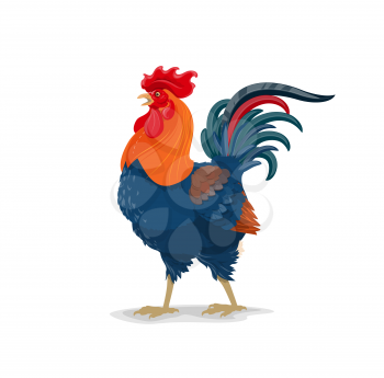 Rooster vector chinese horoscope animal, cartoon cock with bright plumage china zodiac, mascot symbol, lunar new year for 2029, oriental culture and tradition. Poultry farm fowl isolated icon