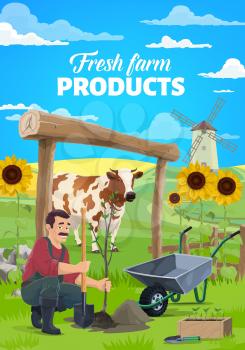 Farmer working in field, plants tree. Farm cow on meadow, crops fields and windmill, man with shovel planting fruit tree and vegetables seeding in garden. Organic farming, agriculture products banner