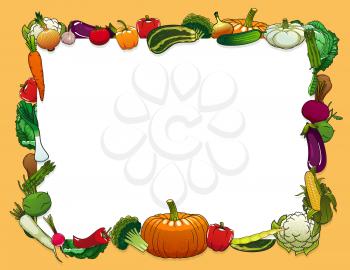 Vegetables and farm veggies frame, vector blank paper note. Grocery store organic vegetables pumpkin, squash and kohlrabi, broccoli and cauliflower cabbage, corn and beet, onion and asparagus