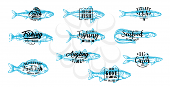 Fishing club, fish market and seafood vector symbols with lettering. Angling, fishing tournament and fisher lure tackles equipment shop. Tuna and eel, sardine, salmon and tuna fishes