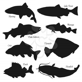 Fish black silhouettes vector icons, fish market and fishing. Sea herring, lake trout and perch, ocean pink salmon, river sheatfish and flounder, carp and navaga fish. Isolated on white