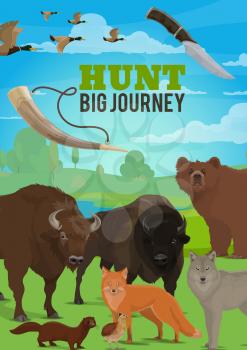 Hunting season wild animals. Hunting ammo, wild animals and birds. Ammunition and equipment, horn and knife, bear and wolf, buffalo ox and fox, partridge and duck, ermine or mink trophy animals
