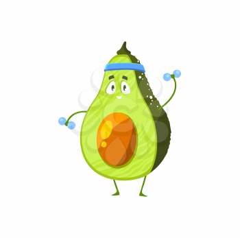 Cartoon avocado sportsman vector icon, funny vegetable character workout with dumbbells sport exercises isolated on white background. Healthy exotic food, sports lifestyle, organic nutrition symbol
