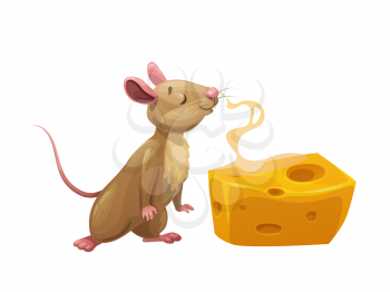 Cartoon mouse and steaming cheese. Cute vector rat character enjoy sniffing large piece or slice of cheese with holes. Isolated comic rodent, funny animal or pet, fairy tale book or game personage