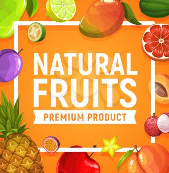 Natural fresh fruits poster, vector pineapple, apple and apricot, lychee, prune and mango. Lime, grapefruit and carambola with pear, feijoa, passion fruit. Exotic tropic fresh orchard farm production