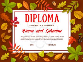 Education certificate with autumn leaves, kids diploma for school or kindergarten vector template. Child award border design, diploma for participation, achievement or graduation fall foliage frame