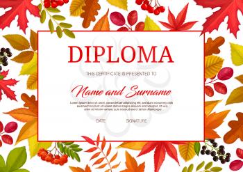 Kids diploma certificate with autumn leaves and berries vector template. Kindergarten, college or school diploma for achievement award with fall foliage frame, graduation or education training lessons