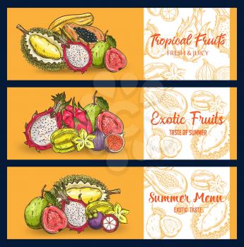 Tropical fruits vector sketch banners. Pitahaya, mangosteen with papaya, figs, durian and carambola, guava, lychee and passion fruit. Engraved organic exotic fruits summer menu, natural healthy choice