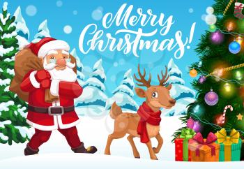 Santa carrying bag of Christmas gifts in winter holiday forest vector design. Xmas tree, Claus and reindeer, present boxes, snow and sock, snowflakes, balls and lights, ribbons, bows and tinsel
