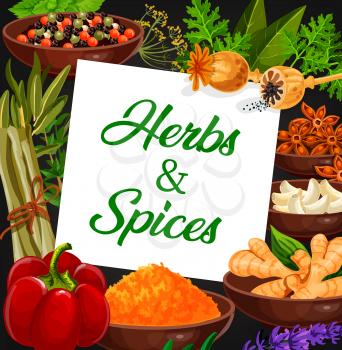 Herbs and spices market vector banner. Opium poppy, peppercorn and dill, coriander or parsley, bay leaf and peppermint, garlic, star anise and paprika pepper powder, lemongrass, lavender and ginger