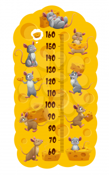 Cartoon funny cute mouse and mice with cheese, kids height chart growth measure. Vector meter, wall sticker for children height measurement with cute rodent animal characters and scale, isolated ruler