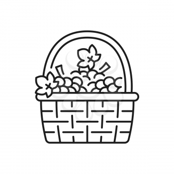 Basket of grape isolated thin line icon. Vector vintage basket with spring or summer flowers and fruits, symbol of Portugal, outline sign.