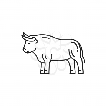 Bull symbol of Portuguese corrida isolated thin line icon. Vector farm cow or buffalo, beef mammal with horns. Traditional Spain and portugal animal, bullfight contests ox. Taurus horoscope sign