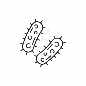 Virus infection bacteria, macro cell isolated outline icon. Vector clos up of microorganism, pathogen bacillus microscopic gene in stomach or intestines. Genome microscopic microbiology organism