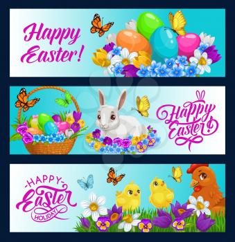Easter bunny vector banners of egg hunt holiday design. Easter egg hunt basket, rabbit, chicks and chicken with spring green grass blades, flowers and butterflies, daffodils, pansies and crocuses