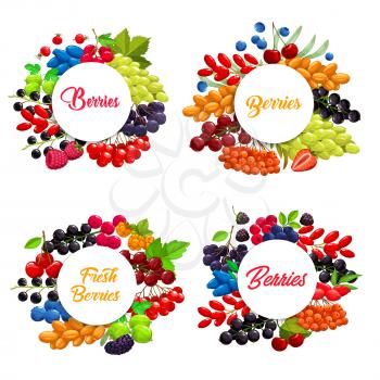 Cartoon berries vector round frames. Strawberry, white grape and blackberry, raspberry, cherry, black and red currant with blueberry. berries sea buthorn, honeysuckle and bird cherry, black chokeberry