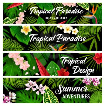 Tropical plants and flowers vector banners, exotic palm leaves and blossoms. Floral cards with tropic hawaiian flowers exotic hibiscus, plumeria, orchid and strelitzia, fern, monstera and areca palm