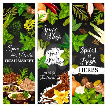Cooking herbs and seasonings, spice condiments, vector food vegetables. Farm herbs and seasonings garlic and rosemary, culinary vanilla, cinnamon and anise, lime and ginger, celery herb and pepper