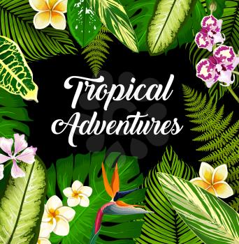 Tropical plants and flowers, vector poster, exotic palm leaves and blossoms. Hawaiian jungle monstera, fern, orchid and plumeria floral card for tropic resort and travel, summer holidays and vacation
