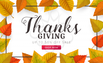 Thanks Giving day vector sale poster with autumn leaves. Special off price discount offer for store, mall and market. Shopping promotional ad coupon with cartoon fallen leaves of birch, poplar and elm