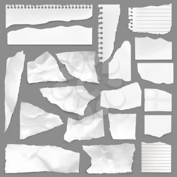 Torn note paper scraps, vector ripped blank pieces and scrapbook notes with lines. Perforated ragged textured memo sheets with spiral holes. Isolated realistic 3d white crumples, rip notebook shreds