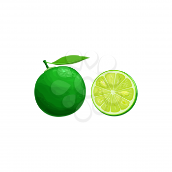 Sudachi fruit, exotic Japanese citrus fruits and tropical food vector isolated icon. Sudachi fruit half cut and whole, tropic farm fruits harvest