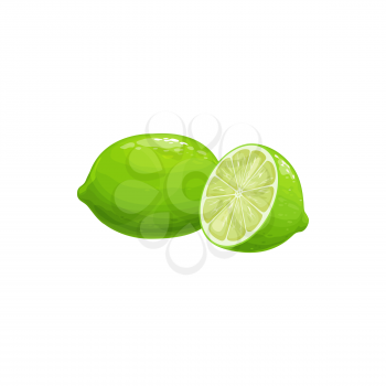 Lime fruit, tropical exotic citrus, vector isolated food icon. Lime fruits half cut and whole, tropic farm juicy exotic fruits harvest, dessert and essential oil ingredient
