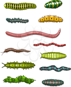 Caterpillars and worms set isolated on white background
