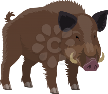 Boar wild animal vecor isolated icon. Zoo predatory mammal and hunt trophy aper hog