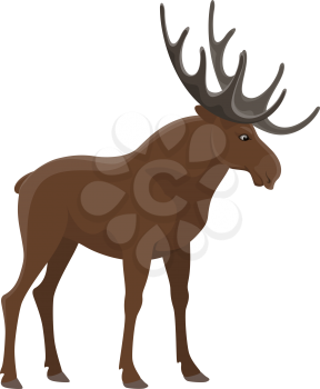 Elk wild animal vector isolated icon. Zoo mammal moose and hunt trophy wapiti elk