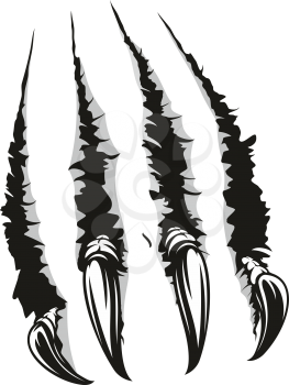 Claws scratches of wild animal. Vector tiger, bear or monster cat claw torn slashes
