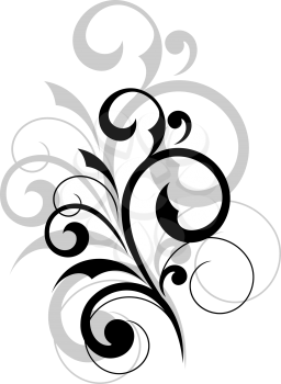 Elegant scrolling foliate design element on white background