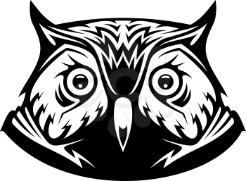 Black and white vector illustration of the head a wise old owl looking directly at the viewer, on white