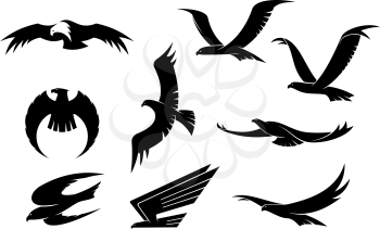 Silhouette set of flying eagles, hawks, falcons and another birds for heraldry or mascot design