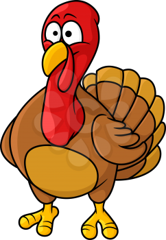 Fun caricature cartoon turkey standing facing the viewer with a bemused expression, cartoon  illustration, for thanksgiving holiday or farming design