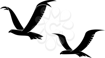 Two graceful flying birds in a black silhouette with outspread wings for tattoo or power cocnept design