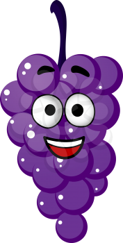 Happy funny bunch of fresh purple grapes with a big smile, cartoon illustration isolated on white