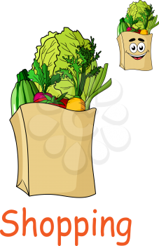 Brown paper shopping bag filled with fresh groceries including fruit and vegetables in two variants, one with a smiling happy face and the word Shopping, cartoon  illustration