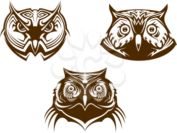 Three different brown and white owl heads for mascots or tattoo design