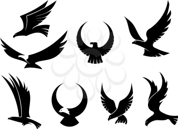 Setof black silhouettes of graceful flying eagles with their outspread wings for heraldry and hunting design