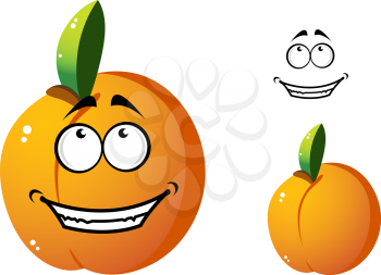 Cute, happy, fresh, juicy, orange colored apricot with big smile and big eyes isolated over white background